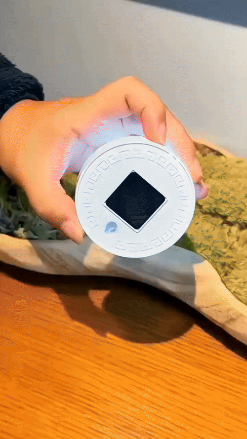 Pack de 3 Lámparas Círculo con Sensor de Movimiento + Envio Gratis 🎁 –  Ilumina tu Casa