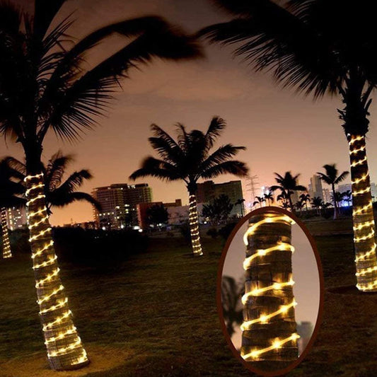 Manguera de Luces Eléctrica 10 Metros