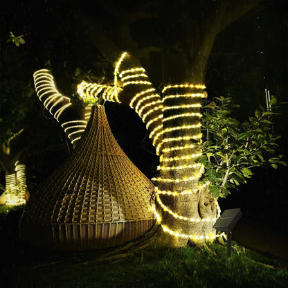 Manguera de Luces Eléctrica 10 Metros