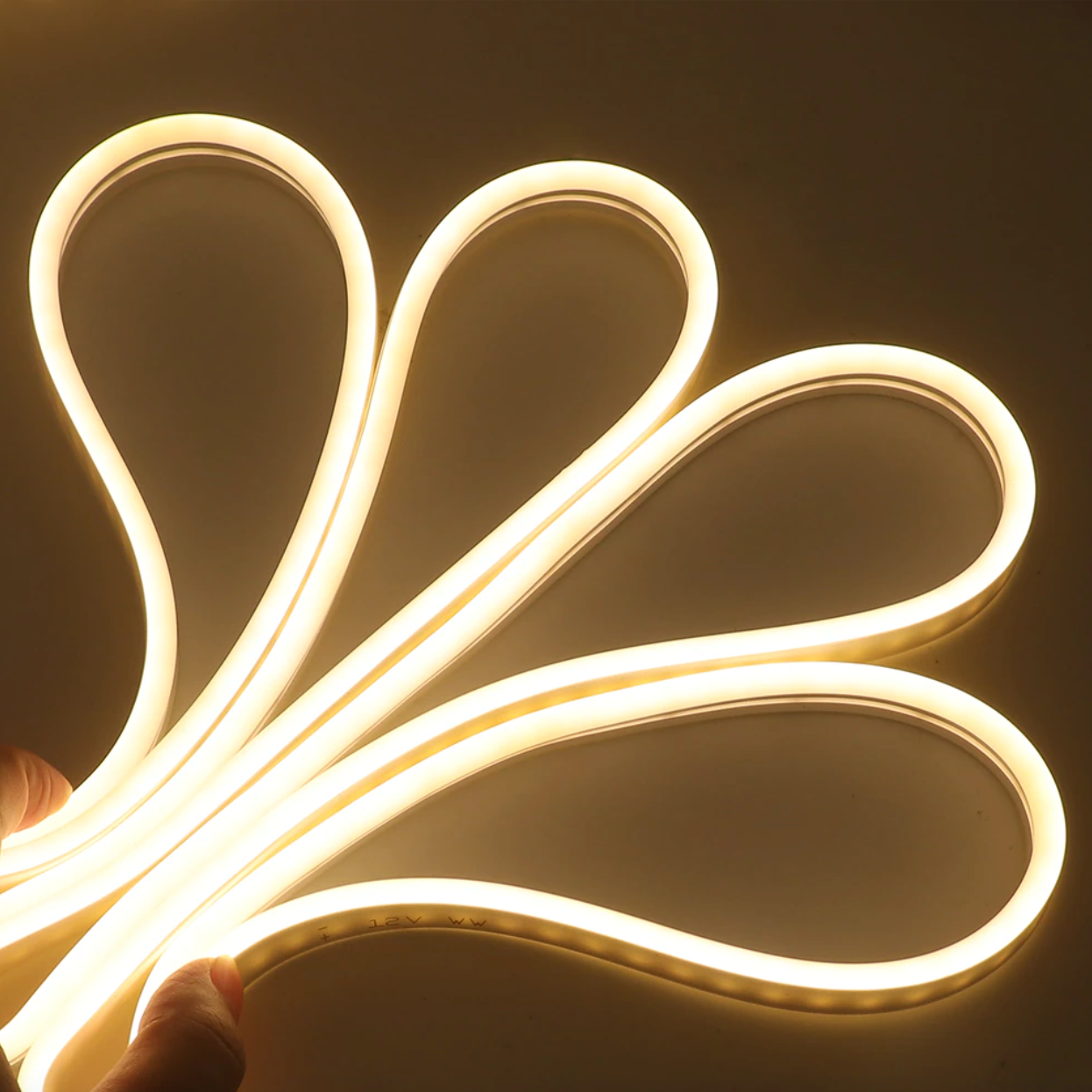 Cinta de Neón Flex 12volt Con Transformador Incluido - Ilumina tu Casa